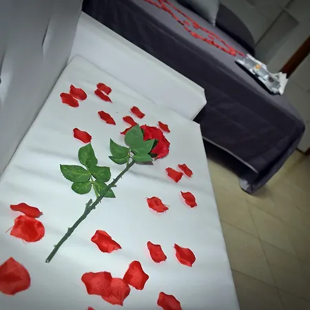 Joy Hotel 3*