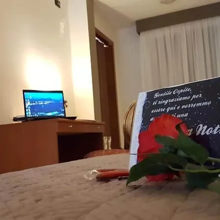 Joy Hotel 3*