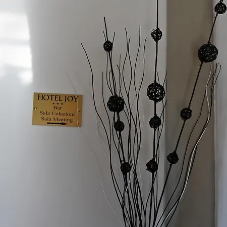 Joy Otel 3*
