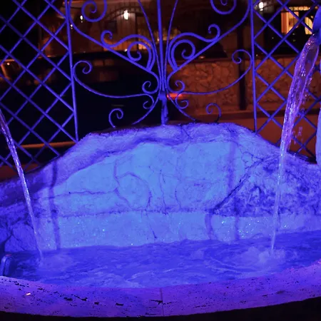 Joy קסטל וולטורנו