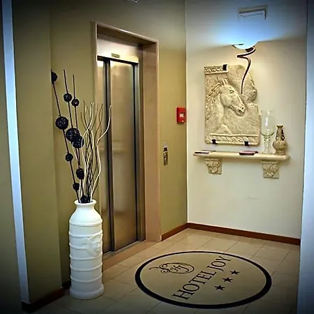 Joy Hotel 3*
