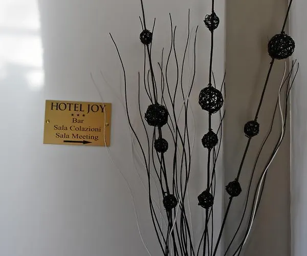 Joy Hotell 3*